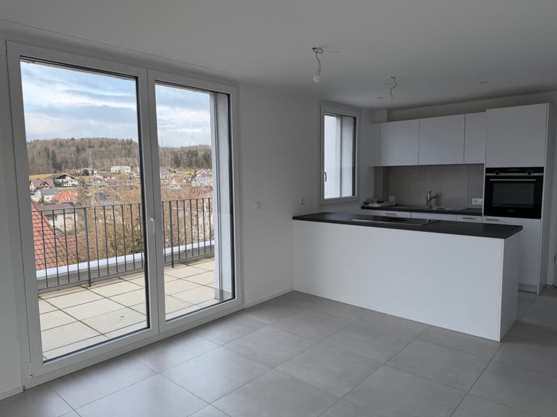 3.5-Attika-Wohnung mit fantastischem Ausblick (3)