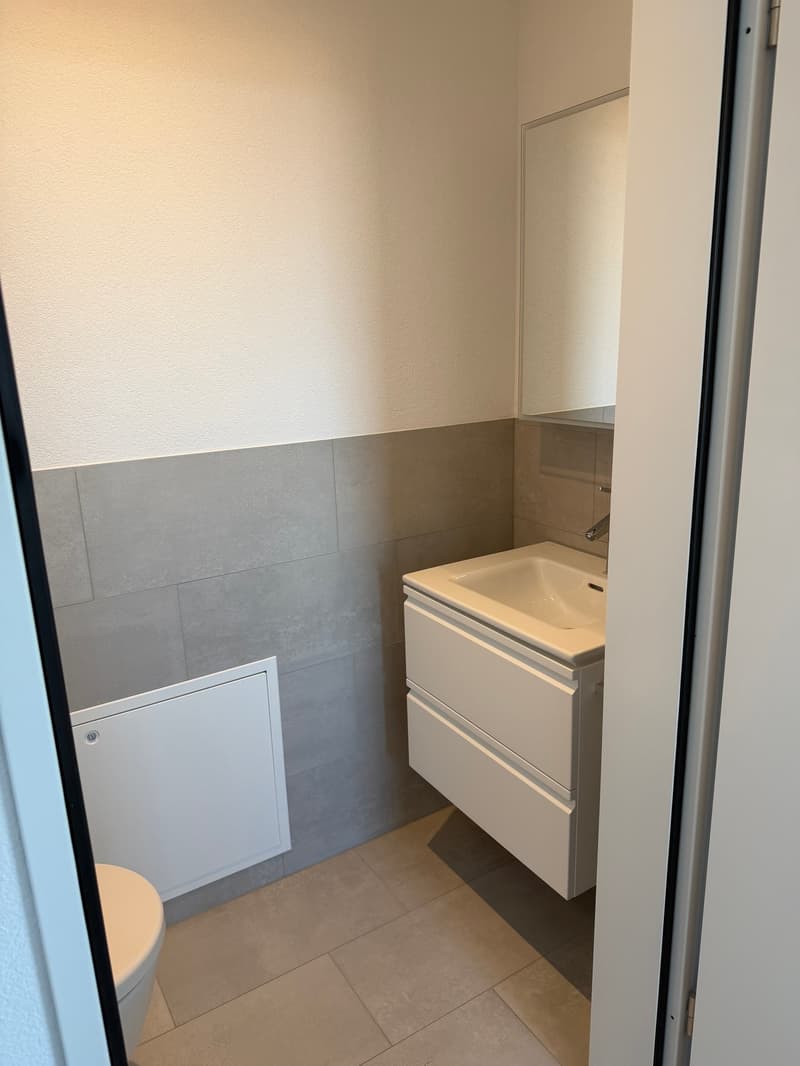 3.5-Attika-Wohnung mit fantastischem Ausblick (9)
