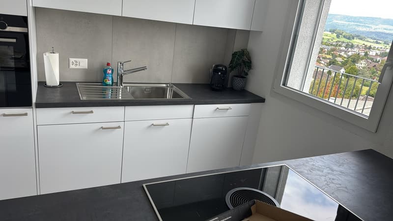 2.5-Attika-Wohnung mit fantastischem Ausblick (2)