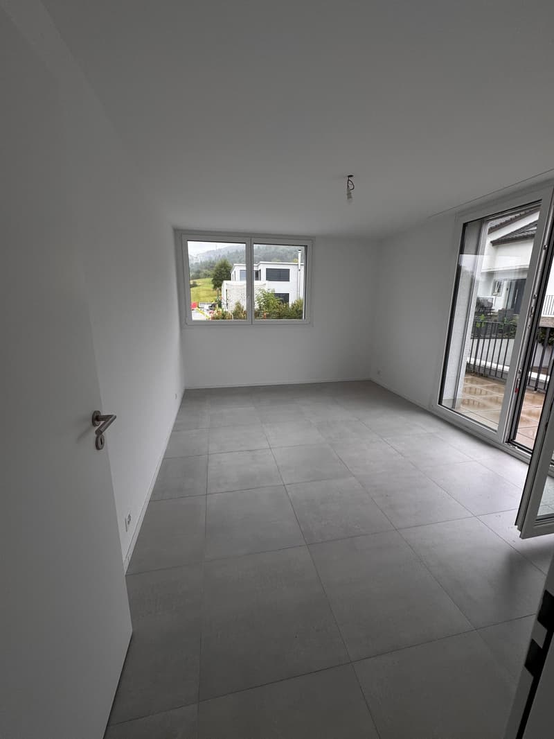 2.5-Attika-Wohnung mit fantastischem Ausblick (3)