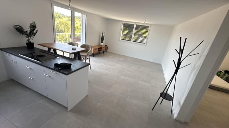 2.5-Attika-Wohnung mit fantastischem Ausblick (1)