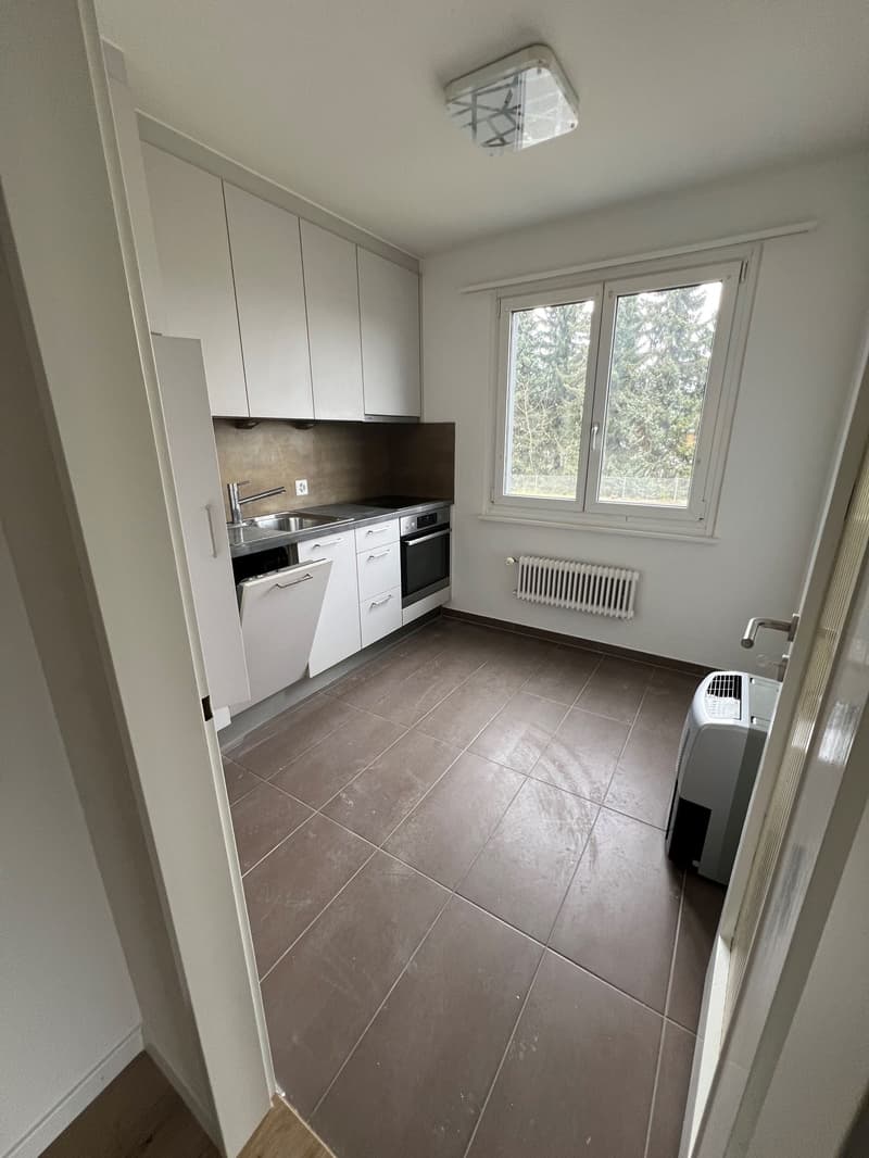 zu vermieten 4 1/2 Zimmer Wohnung (3)