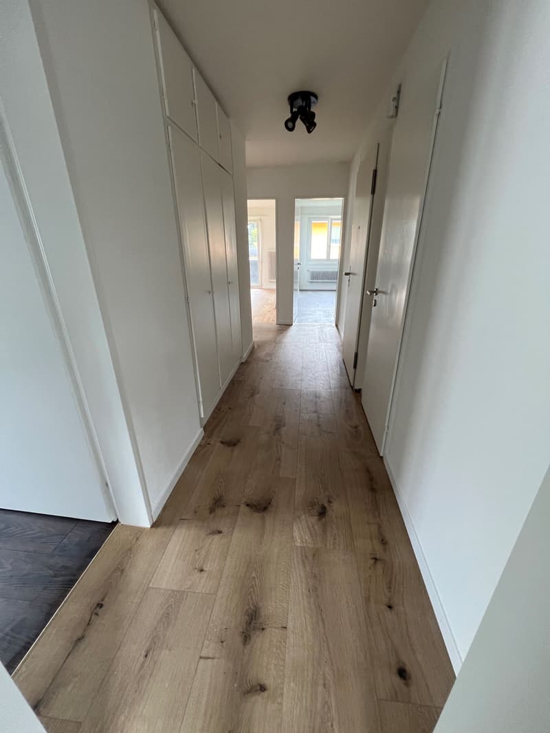 zu vermieten 4 1/2 Zimmer Wohnung (6)