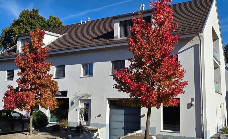 Attraktives Ladenlokal an bester Lage in Möhlin zu vermieten (2)