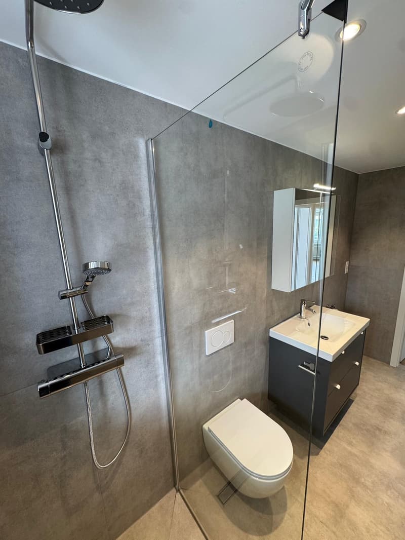 Grosszügige 4.5-Zimmer-Wohnung mit 108 m² Wohnfläche und ca. 40 m² Terrasse (2)
