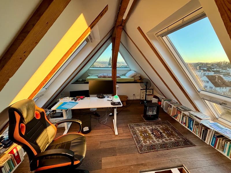 Zentrum Grenchen - Exklusive 2.5-Zimmer-Wohnung mit Gästehaus und Garten (15)