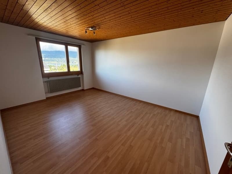 Charmantes 5-6 Zimmer Einfamilienhaus mit Seesicht und Garten in Mörigen (21)