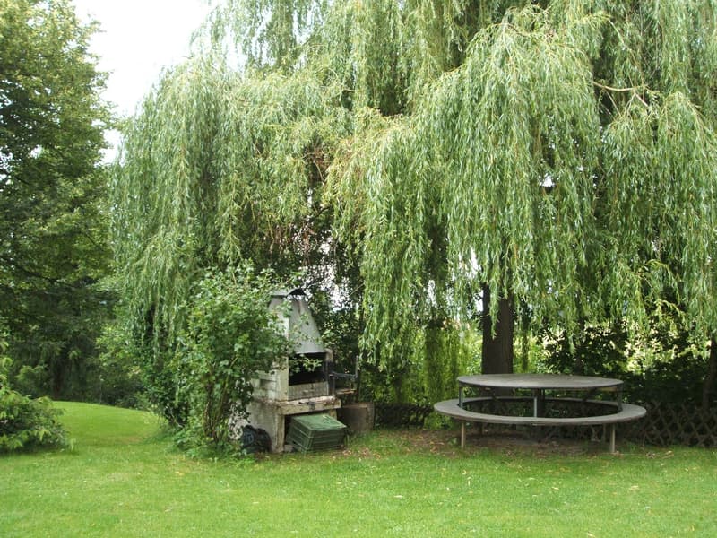 Helle 4½-Zimmer-Wohnung mit neuer Wohnküche in Schwarzenburg (4)