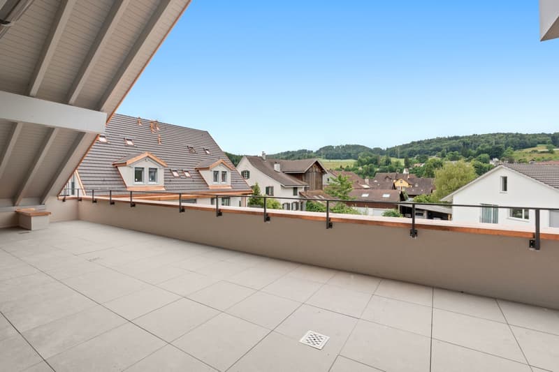 Erstbezug: exklusive Attika-Wohnung mit riesigem Balkon und Cheminée (10)
