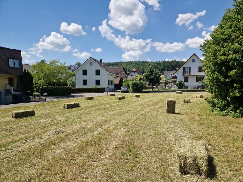 Parzelle 3018 Erschlossen mit Näherbaurecht 2m zur Parzelle 1582 (2)