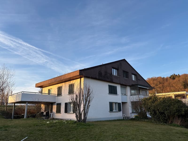 Charmantes Mehrfamilienhaus in Roggwil (2)