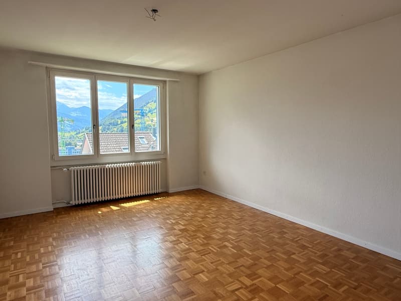 Grosszügige Wohnung mit Panoramaaussicht in Schwyz (5)