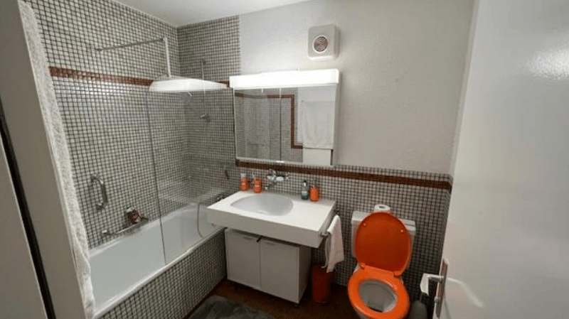 Charmante 2.5-Zimmer-Wohnung mit Bergblick in Flums (3)