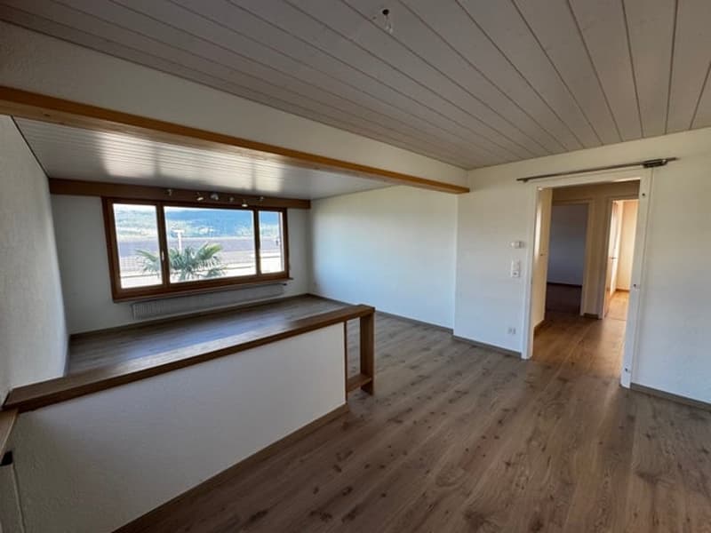 Charmantes 5-6 Zimmer Einfamilienhaus mit Seesicht und Garten in Mörigen (6)