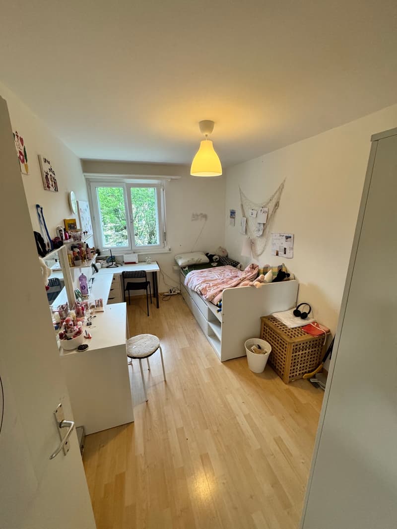 Charmante 4-Zimmer-Wohnung mit Balkon in Wetzikon (4)