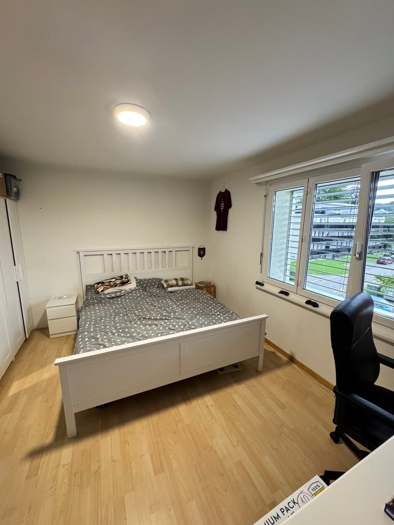 Charmante 4-Zimmer-Wohnung mit Balkon in Wetzikon (3)