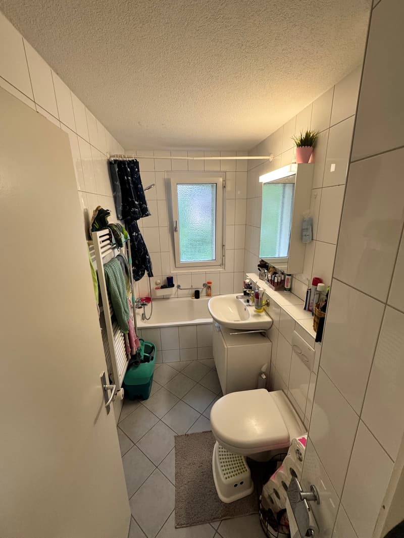 Charmante 4-Zimmer-Wohnung mit Balkon in Wetzikon (6)