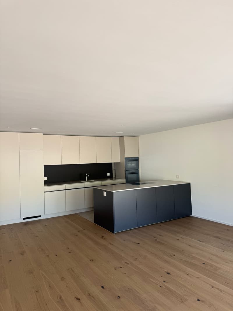 Erstbezug 5.5 Zimmer-Wohnung in neuer Überbauung Roggächer Nord (10)