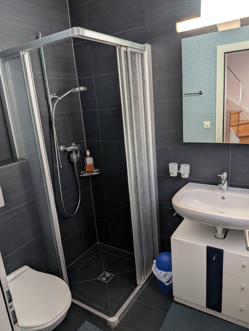 Grand duplex 6.5 pièces avec vue panoramique sur le lac et les Alpes, jardin privé (10)