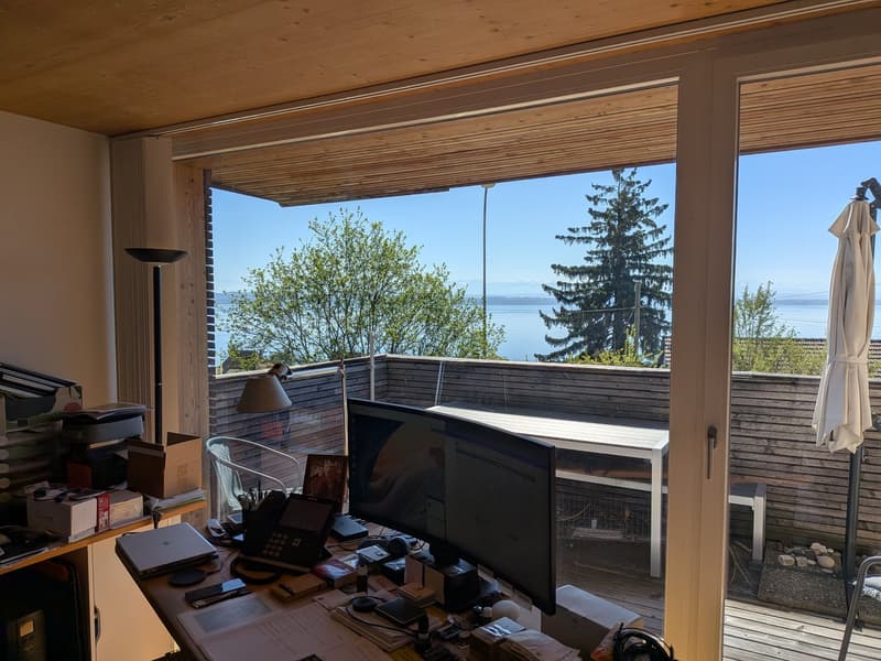 Grand duplex 6.5 pièces avec vue panoramique sur le lac et les Alpes, jardin privé (7)