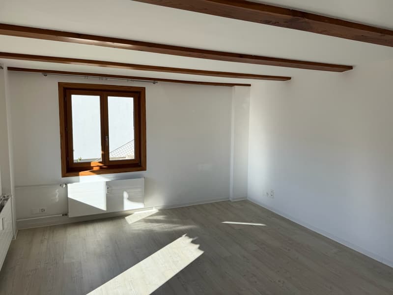 Sonnige 4.5-Zimmer-Wohnung | Balkon & Terrasse | Panoramablick | Haus-Sauna | auch als WG (17)