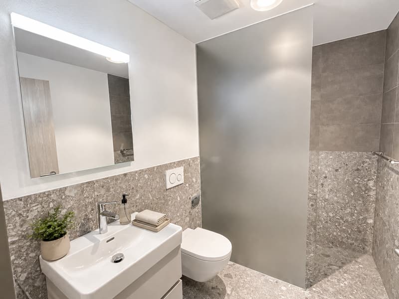 Erstbezug: Residence am Waldrand – Eigentumsstandard zwischen Luzern und Zug (11)