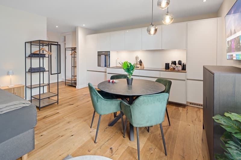 Grosszügiges möbliertes Studio mit Terrasse, Parkplatz & Co-Working-Zugang in Embrach, Zürich (5)