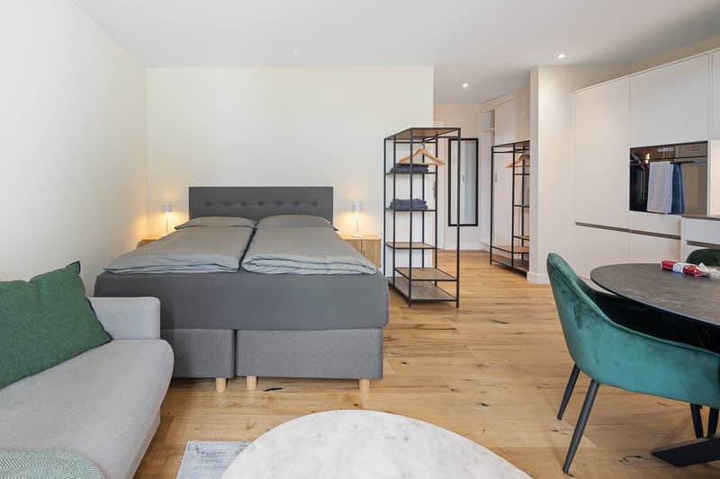 Grosszügiges möbliertes Studio mit Terrasse, Parkplatz & Co-Working-Zugang in Embrach, Zürich (3)