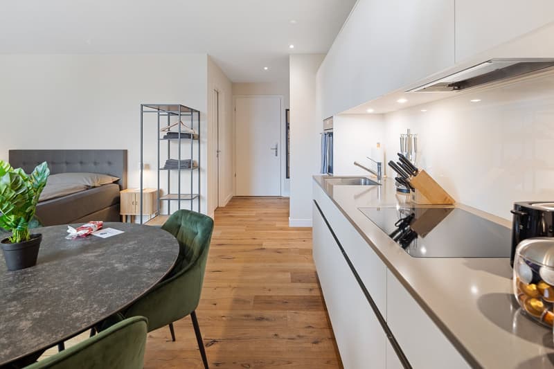 Grosszügiges möbliertes Studio mit Terrasse, Parkplatz & Co-Working-Zugang in Embrach, Zürich (8)