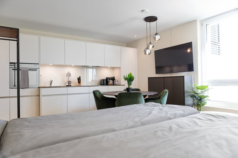 Grosszügiges möbliertes Studio mit Terrasse, Parkplatz & Co-Working-Zugang in Embrach, Zürich (2)
