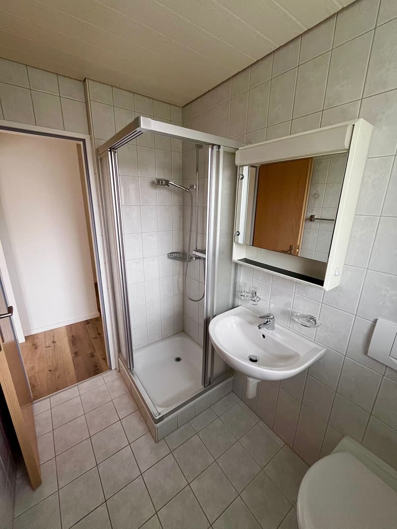 Moderne 3.5-Zimmer-Wohnung (5)