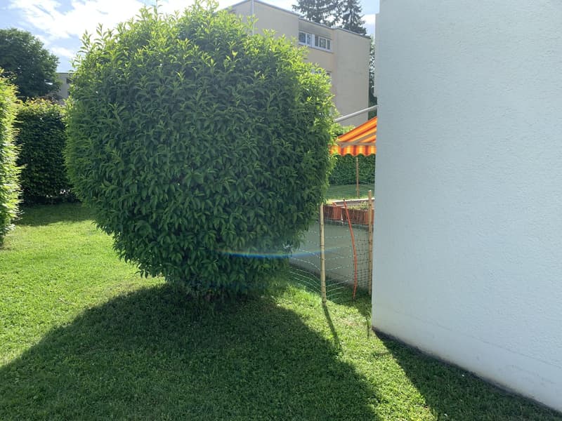 3½-Zimmer-Parterrewohnung mit Terrasse in ruhiger Lage – inkl. Aussenparkplatz zu vermieten (9)