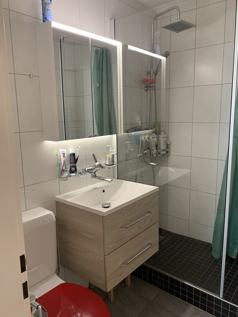 3½-Zimmer-Parterrewohnung mit Terrasse in ruhiger Lage – inkl. Aussenparkplatz zu vermieten (12)