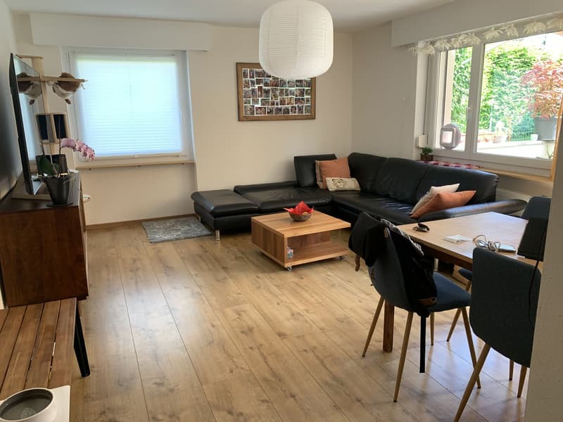 3½-Zimmer-Parterrewohnung mit Terrasse in ruhiger Lage – inkl. Aussenparkplatz zu vermieten (18)