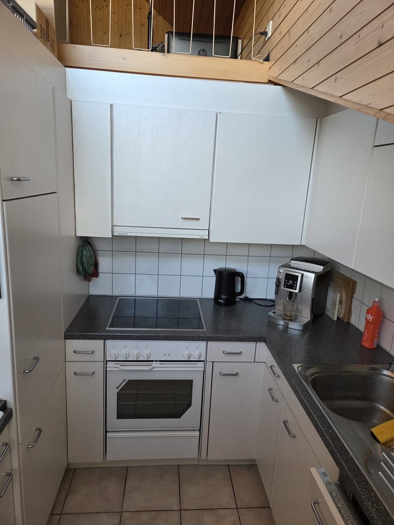Dachwohnung ohne Balkon (2)