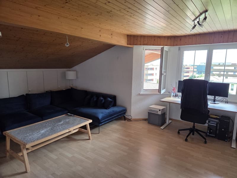 Dachwohnung ohne Balkon (5)