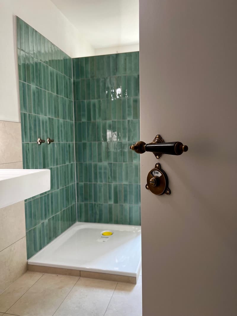 3.5-Zimmerwohnung: Erstbezug in historischer Villa (5)