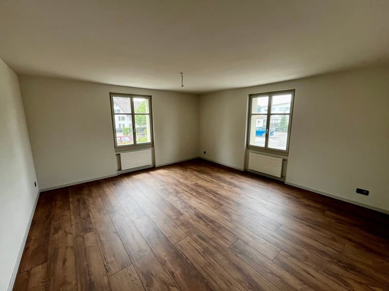 2-Zimmerwohnung mit Sitzplatz: Erstbezug in historischer Villa (2)