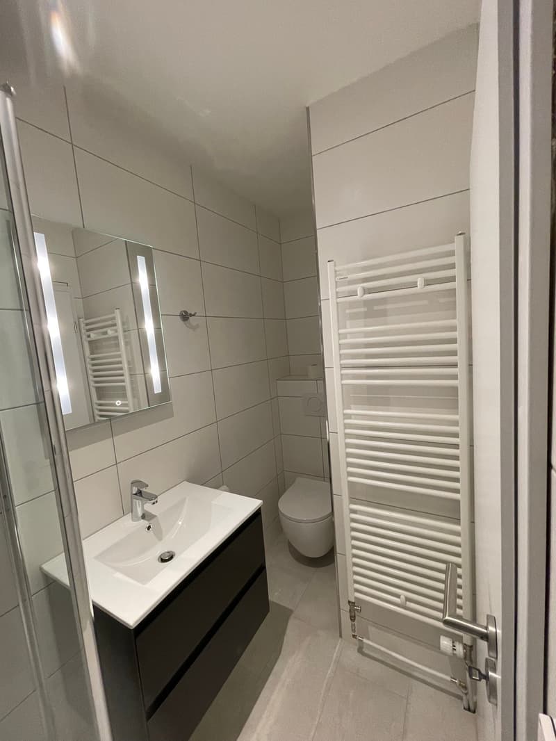 1-Zimmerwohnung zu vermieten 32m2 (5)