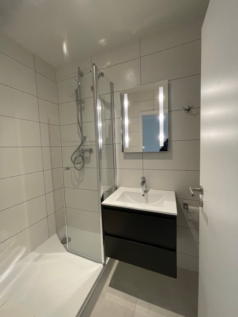 1-Zimmerwohnung zu vermieten 32m2 (6)