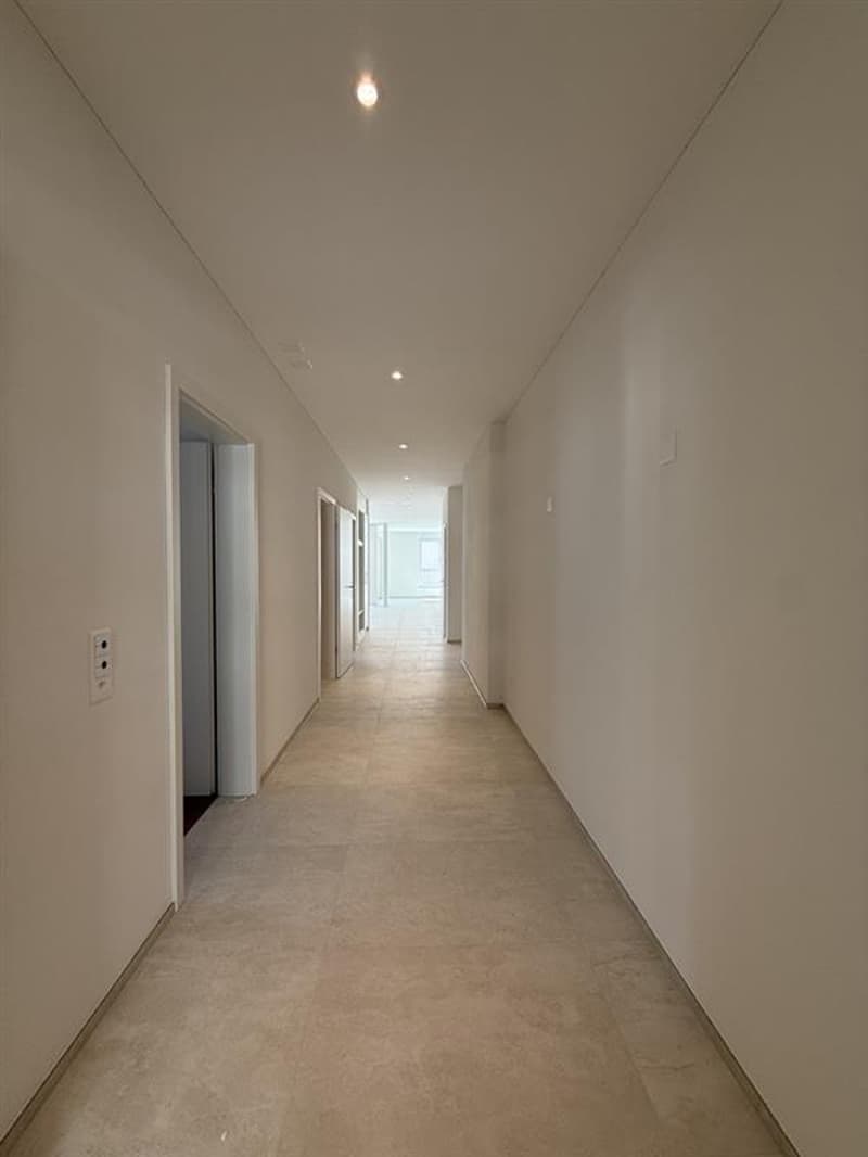 Exklusive 4.5-Zimmer-Neubauwohnung im San Siro Quartier (7)