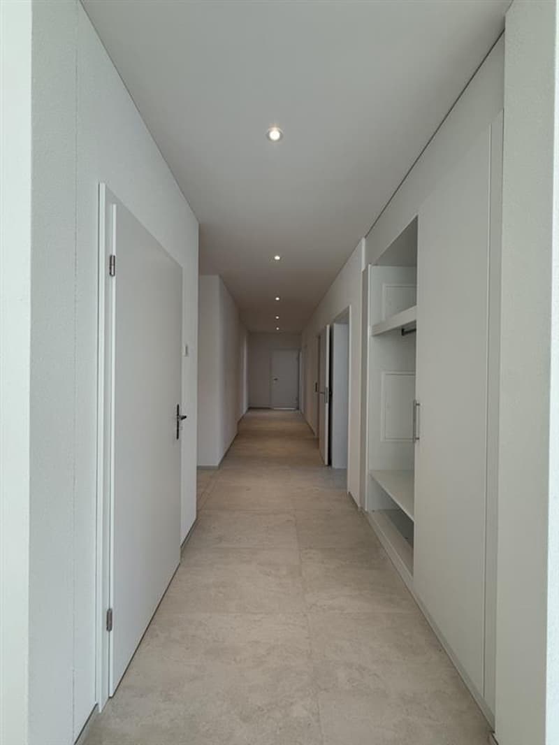 Exklusive 4.5-Zimmer-Neubauwohnung im San Siro Quartier (1)