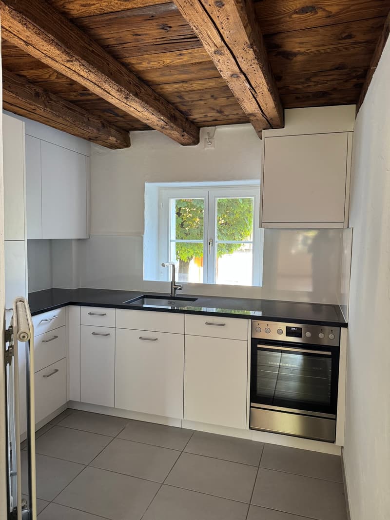 Erstbezug nach Renovation - Singlewohnung mit Gartensitzplatz (3)