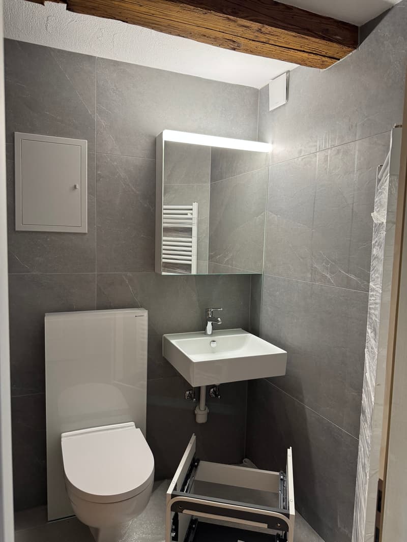 Erstbezug nach Renovation - Singlewohnung mit Gartensitzplatz (2)