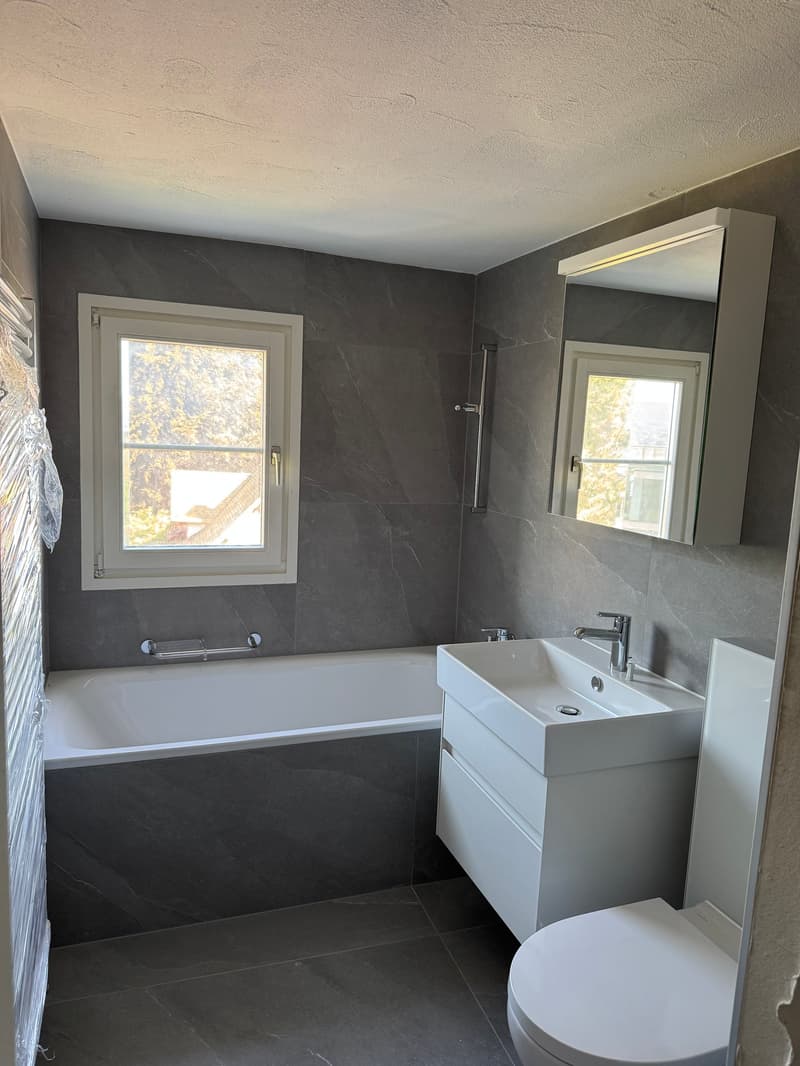 Erstbezug nach Renovation - Charmante Dachwohnung (3)