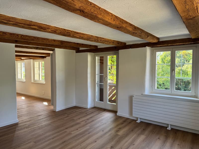 Erstbezug nach Renovation - 3 Zimmerwohnung an ruhiger Lage (4)