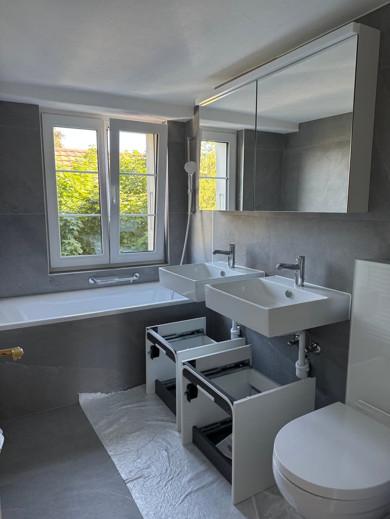 Erstbezug nach Renovation - 3 Zimmerwohnung an ruhiger Lage (3)