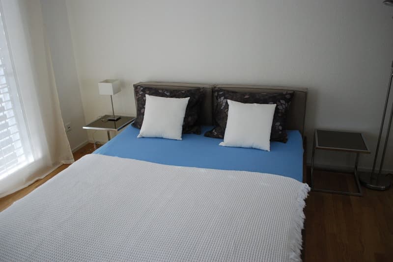 Möblierte 3,5 Zimmer/ 2 bedroom apartment in Adliswil (Zurich) (5)