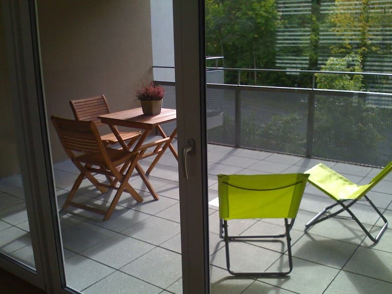 Möblierte 3,5 Zimmer/ 2 bedroom apartment in Adliswil (Zurich) (7)