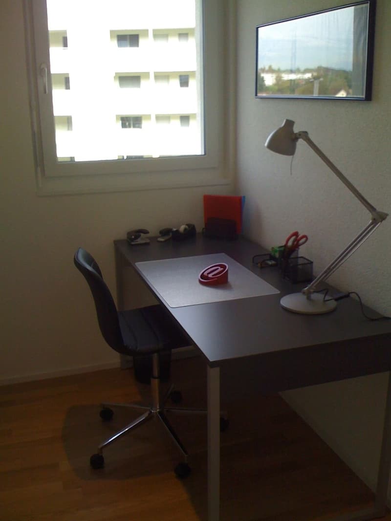 Möblierte 3,5 Zimmer/ 2 bedroom apartment in Adliswil (Zurich) (3)